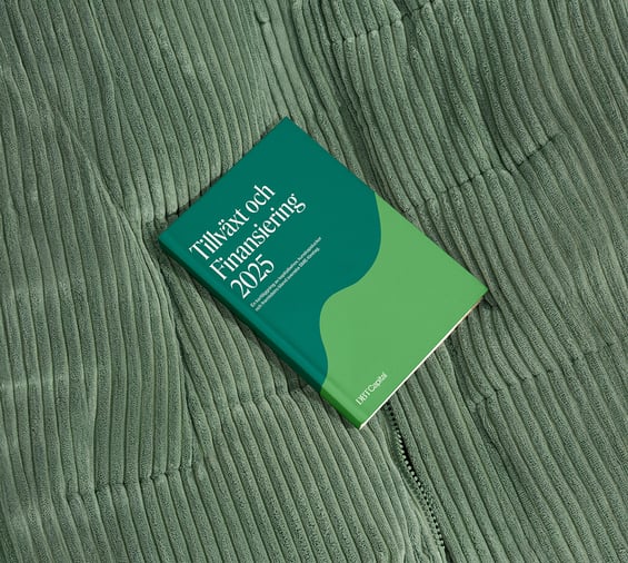 Tillväxt och finansiering 2025 mockup